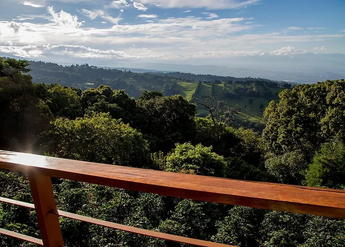 Chayote Lodge