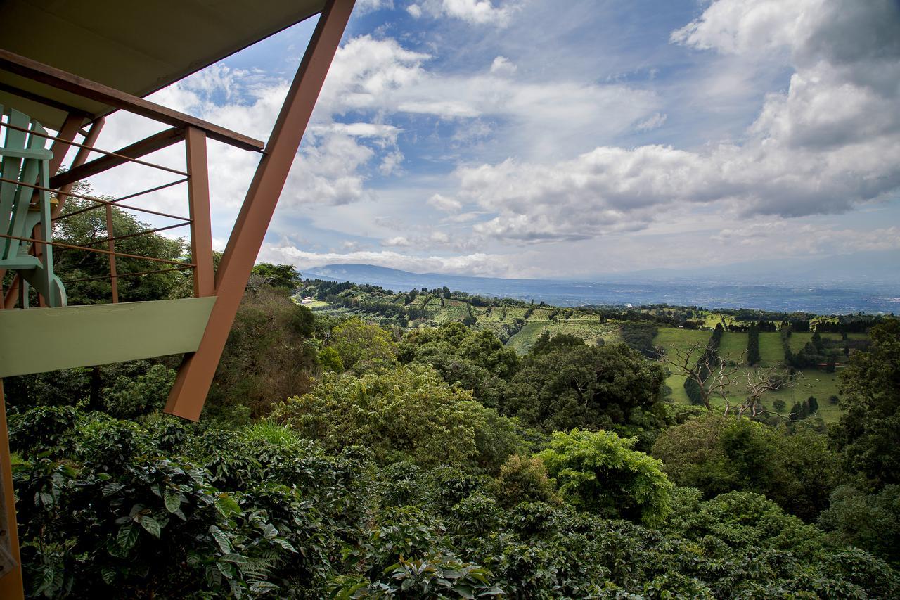 Lodge Chayote